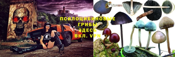 герыч Богородицк