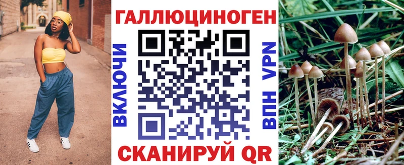 закладки  Топки  ссылка на мегу маркетплейс  Галлюциногенные грибы мицелий 